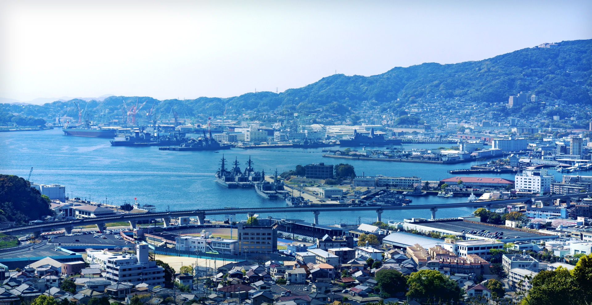 有限会社シカタマテリアル